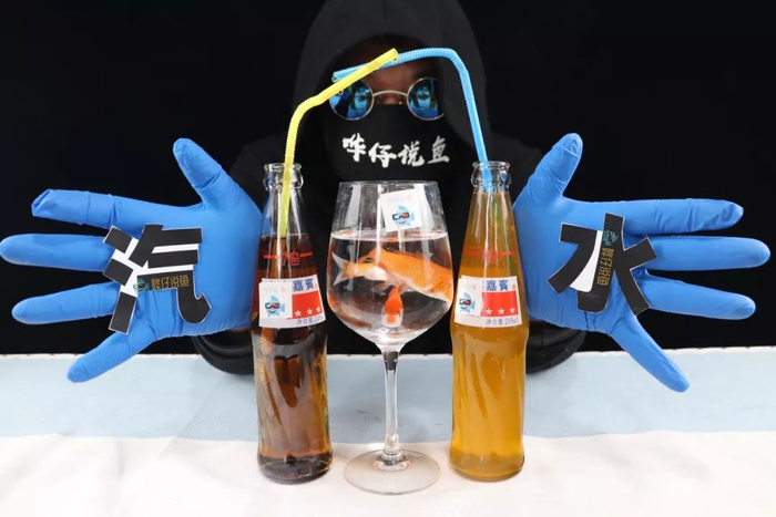 汽水鱼，一种开了挂的观赏鱼