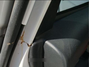 谁是最“锈”国产车？车主：买了三年修了三年，修车厂成了家