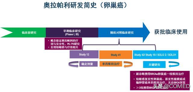 治疗卵巢癌的PARP抑制剂奥拉帕利，原来是这么研发出来的！