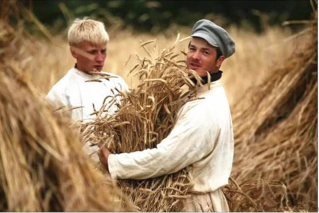 乌克兰本来是大粮仓，究竟什么原因，1932年发生了严重大饥荒