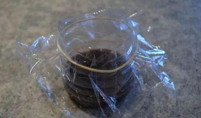 用苹果醋制作简单实用的果蝇陷阱，不用害怕它们祸害厨房