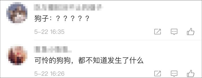 警方公布新型碰瓷视频：专盯不栓绳的狗