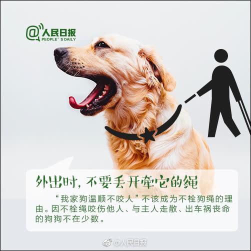 警方公布新型碰瓷视频：专盯不栓绳的狗
