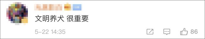 警方公布新型碰瓷视频：专盯不栓绳的狗