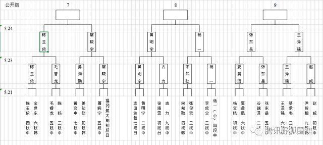 梦百合杯预选中国提前锁定26组 常昊古力连笑出局 柯洁指导仲邑堇