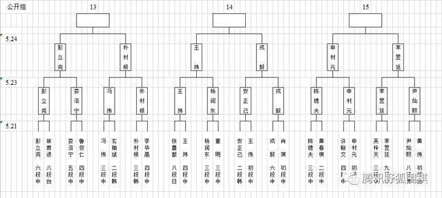 梦百合杯预选中国提前锁定26组 常昊古力连笑出局 柯洁指导仲邑堇