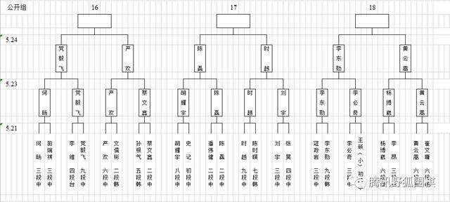 梦百合杯预选中国提前锁定26组 常昊古力连笑出局 柯洁指导仲邑堇