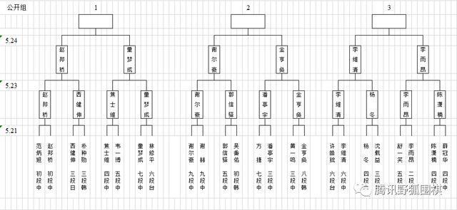 梦百合杯预选中国提前锁定26组 常昊古力连笑出局 柯洁指导仲邑堇