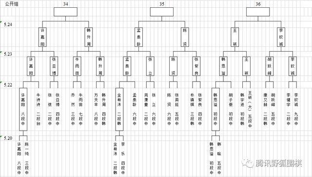 梦百合杯预选中国提前锁定26组 常昊古力连笑出局 柯洁指导仲邑堇