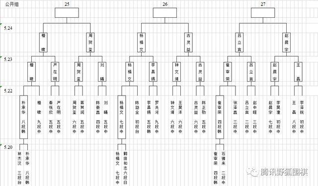 梦百合杯预选中国提前锁定26组 常昊古力连笑出局 柯洁指导仲邑堇