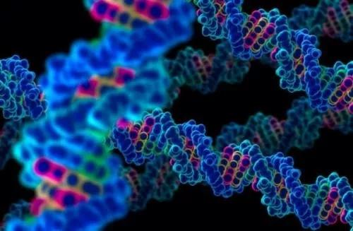 中国科学家将主导基因组标签计划：搭建平台瞄准重大科学问题