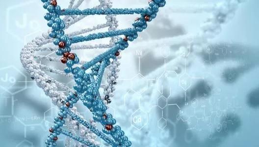 中国科学家将主导基因组标签计划：搭建平台瞄准重大科学问题