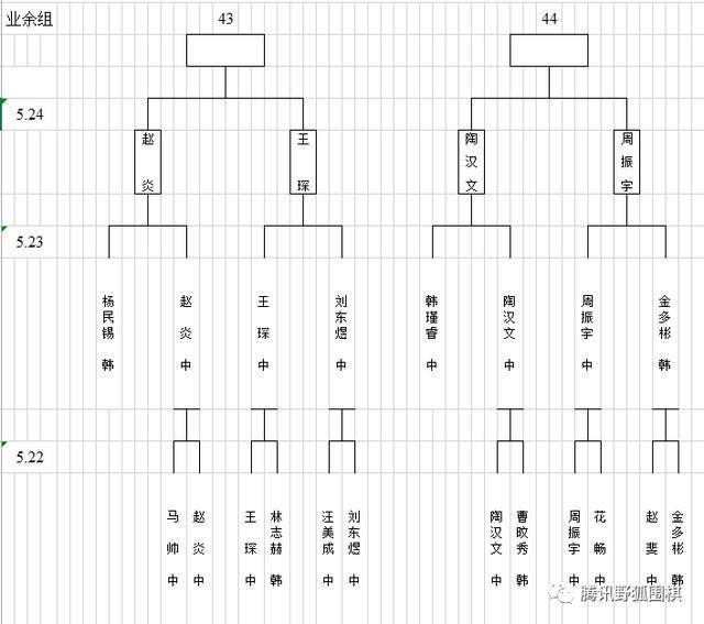 梦百合杯预选中国提前锁定26组 常昊古力连笑出局 柯洁指导仲邑堇