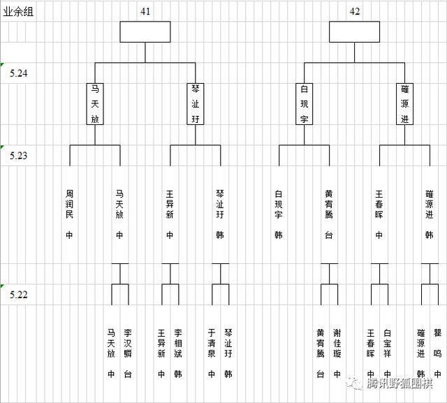 梦百合杯预选中国提前锁定26组 常昊古力连笑出局 柯洁指导仲邑堇