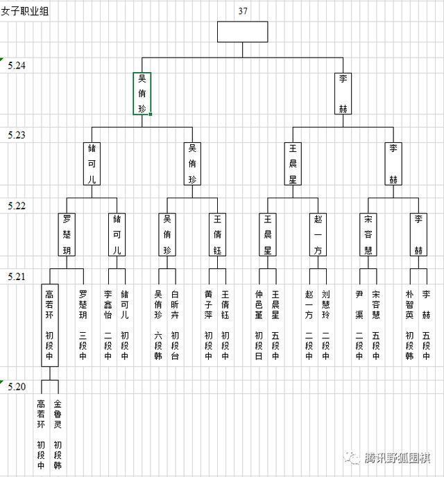 梦百合杯预选中国提前锁定26组 常昊古力连笑出局 柯洁指导仲邑堇