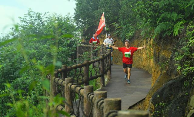 2019龙茶花海山地半程马拉松国际邀请赛举行 近5000名选手参赛