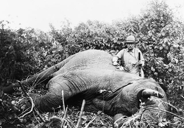 今天稍微挖出来聊一下这种真正的“猎象枪”