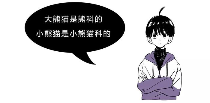 干脆面究竟是小浣熊还是小熊猫？傻傻分不清