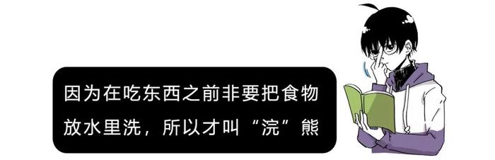 干脆面究竟是小浣熊还是小熊猫？傻傻分不清