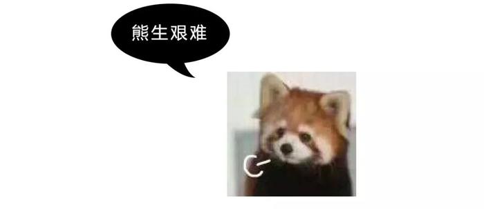 干脆面究竟是小浣熊还是小熊猫？傻傻分不清