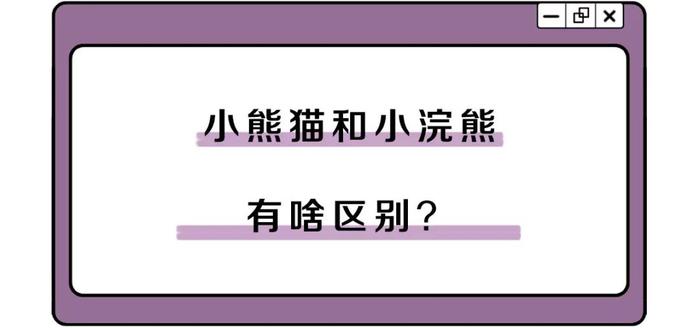 干脆面究竟是小浣熊还是小熊猫？傻傻分不清