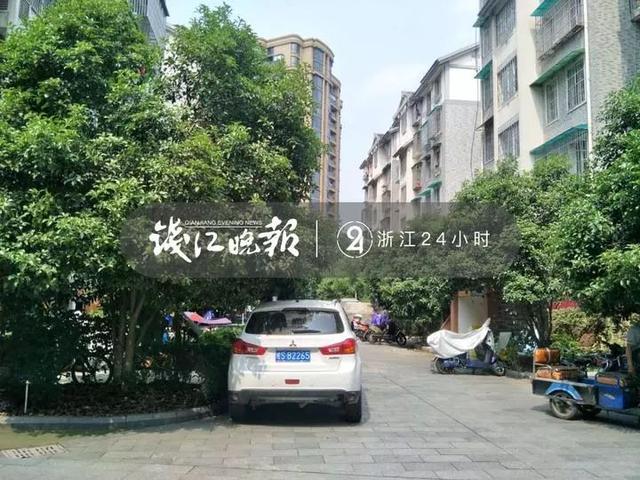猫咪被“愤怒小鸟”粑粑攻击 认怂