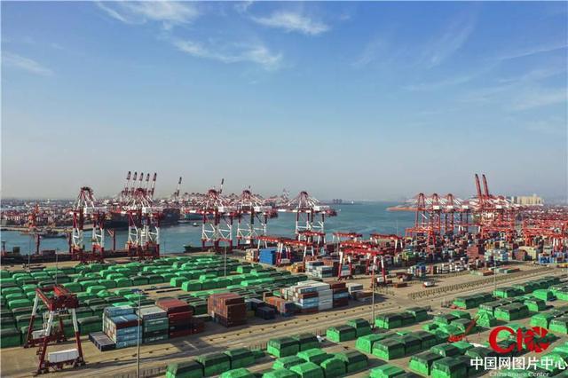 山东青岛：青岛港前湾集装箱码头繁忙有序 内贸和外贸箱量同比实现“双增长”