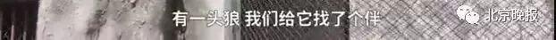 5月爆笑新闻出炉，谁是本月的搞笑之王？