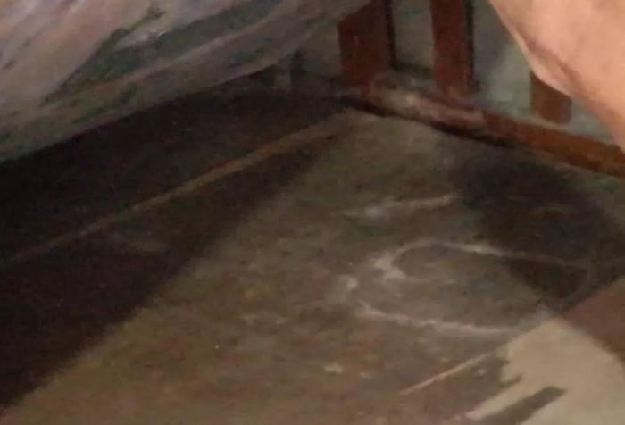 汕头有人5万多人民币被白蚁的蛀蚀，导致币面不同程度残破