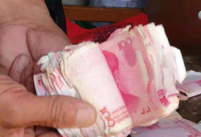 汕头有人5万多人民币被白蚁的蛀蚀，导致币面不同程度残破