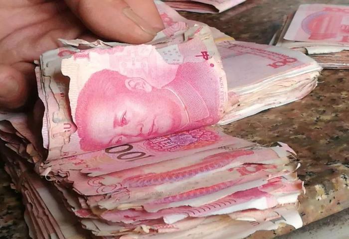 汕头有人5万多人民币被白蚁的蛀蚀，导致币面不同程度残破