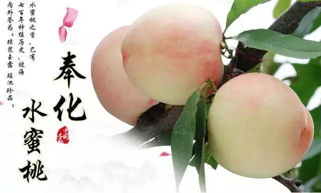 中国最好吃的十大桃子，平谷大桃只排第9，你喜欢吃哪种