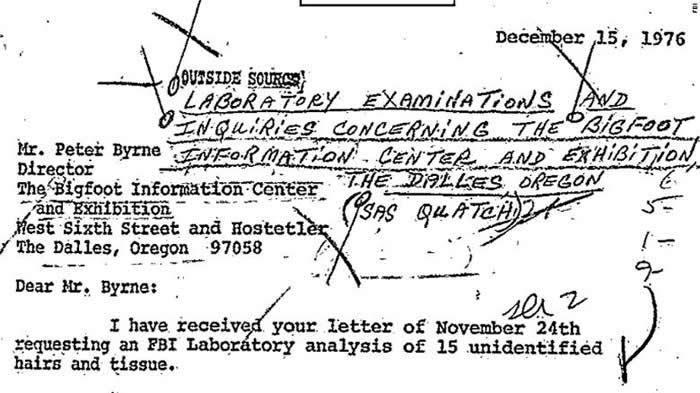 美国联邦调查局公布1976年雪人样本相关文件：毛发属于鹿科动物