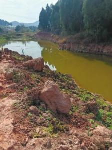 土地承包种果蔬  村民没闻到钱味闻臭味