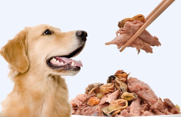 辟谣说法,狗狗可不可以吃大蒜,大蒜对于狗来说营养价值很高!