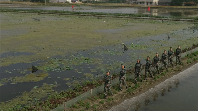 ɫᱮϵб֮Ĺ¡ ʮĸ硱ս ǿġӡ