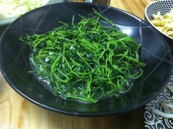 豆苗罕见的15道做法，随便学两招大家都喜欢，你也试试吧