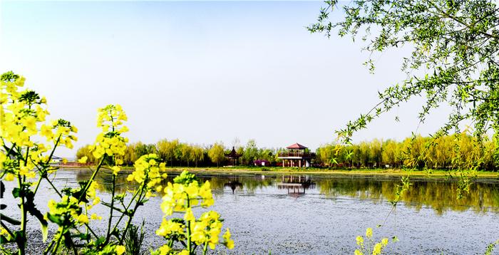 灌云县杨集镇唱响乡村旅游品牌：四季美景尽在潮河湾