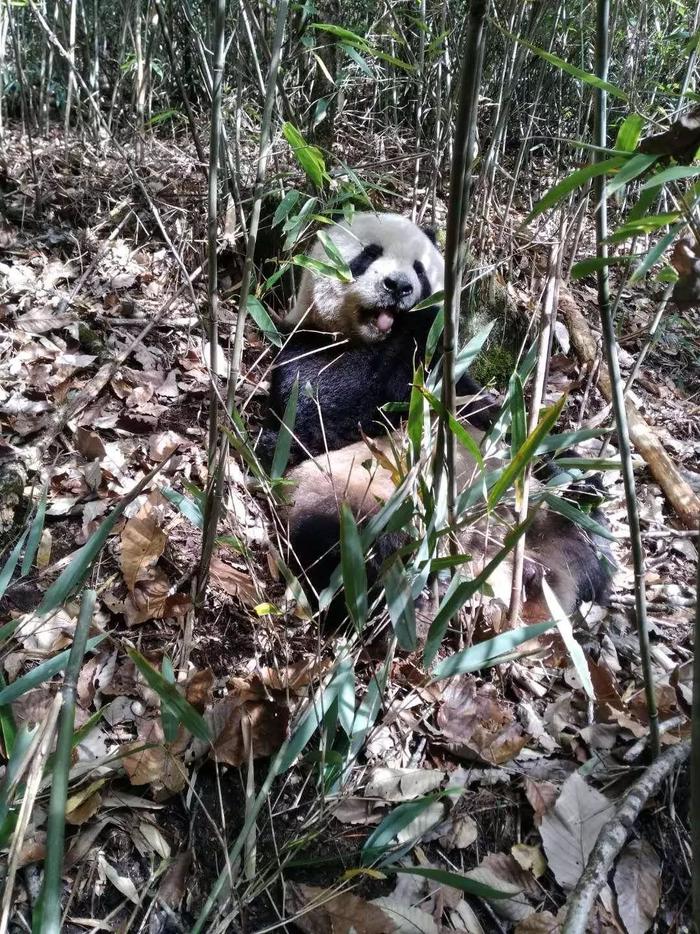 寻“秦”记——山东广电青少年秦岭博物自然科考课开始招募啦！