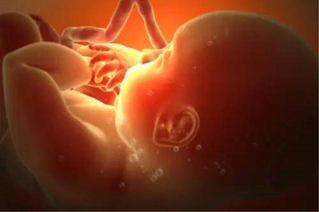 精子和卵子会面，有三个难关要过，看完才知宝宝真的不容易