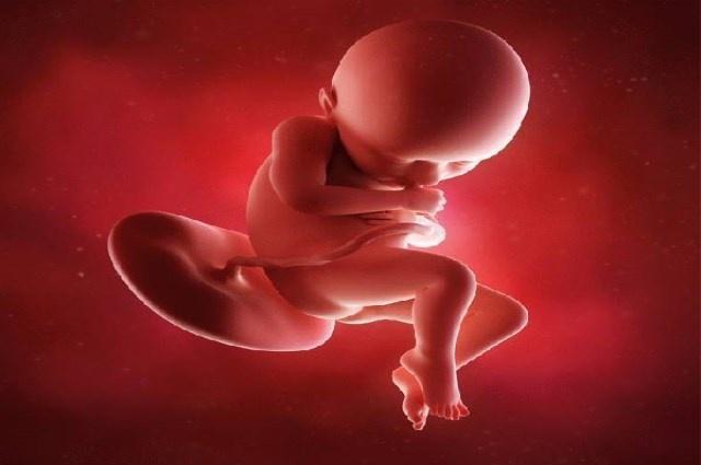 精子和卵子会面，有三个难关要过，看完才知宝宝真的不容易