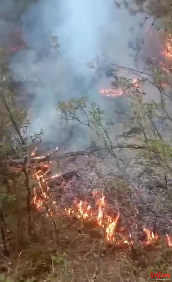 凉山木里发生森林火灾 60余名村民通宵奋战将火扑灭