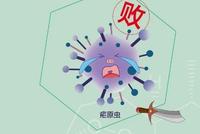 屠呦呦团队深入研究抗疟机理 攻坚青蒿素抗药性难题