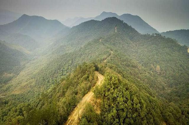 周末撒个野 与哈弗H9一同踏平莫干山裸心谷