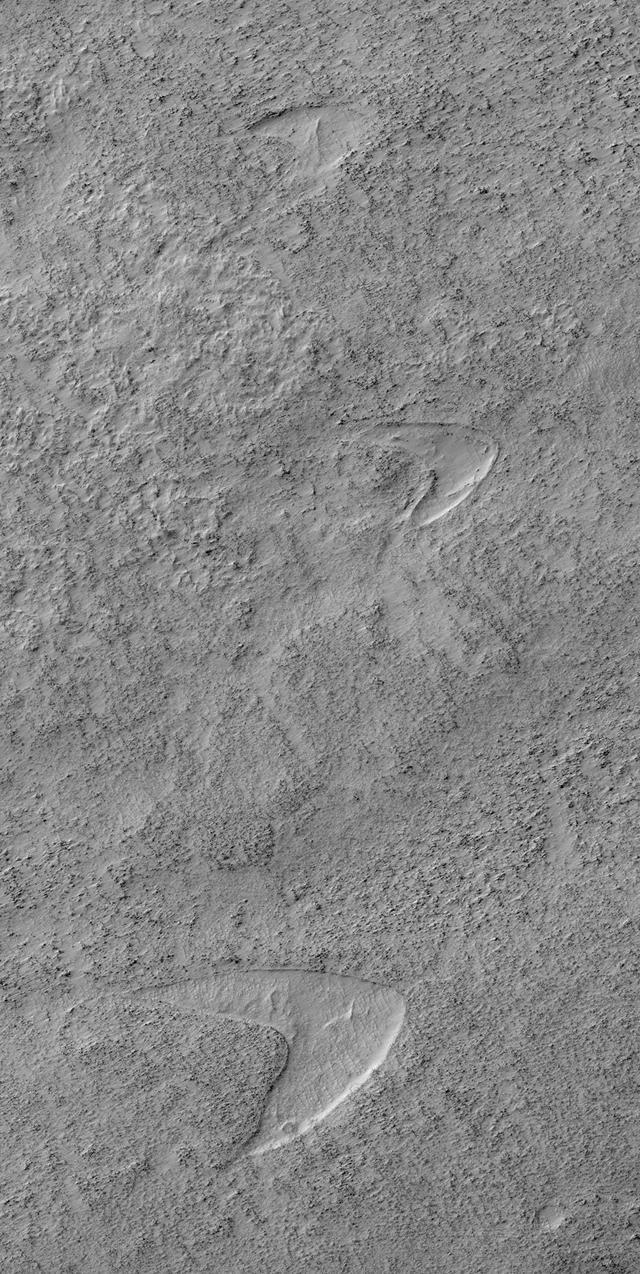 NASA在火星上发现“星际迷航”的标志,星际联邦舰队降落火星了?