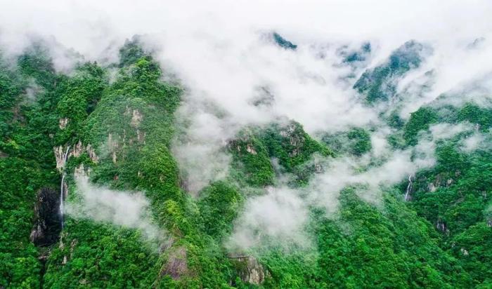 考试结束，别扔准考证！这些景点对中、高考考生有优惠 | 涨知识