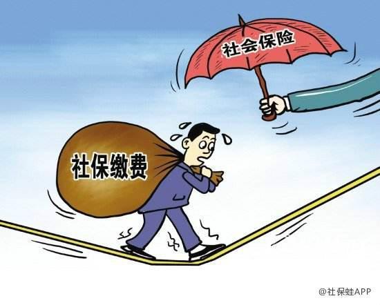 灵活就业者最关心的问题：再就业社保怎么交？可以提前退休吗？