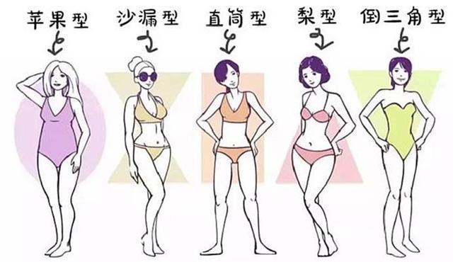 女性12种体型分析，自测你是哪一种？看看吧