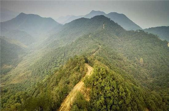 周末去哪 与哈弗H9重走茶马古道赏竹海