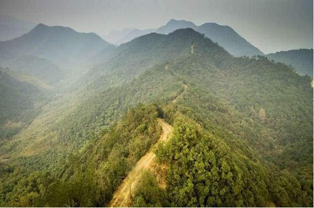 周末撒个野 与哈弗H9一同踏平莫干山裸心谷